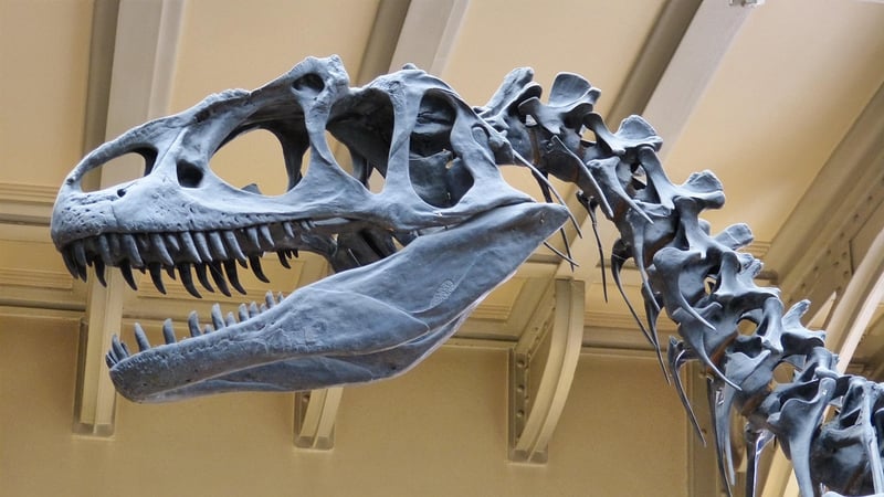 Dinosaurs Era